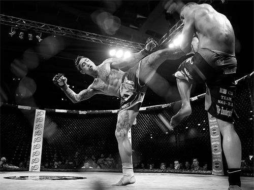 Võ MMA là gì? Khám phá sự phát triển và hấp dẫn của môn võ hiện đại